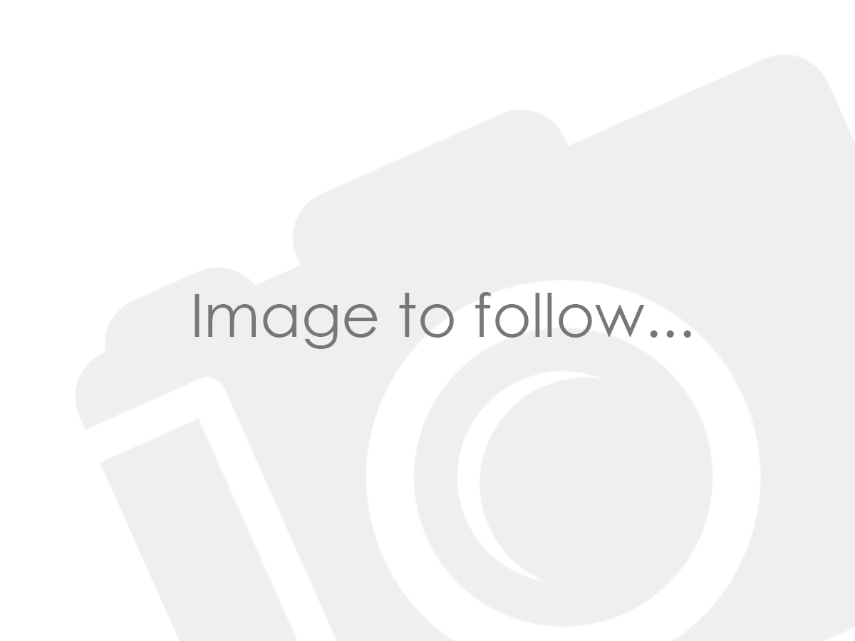 2024 Ford Puma